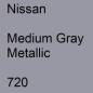 Preview: Nissan, Medium Gray Metallic, 720.